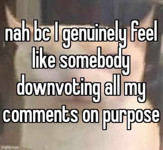 which of you fuckers it doing it | made w/ Imgflip meme maker