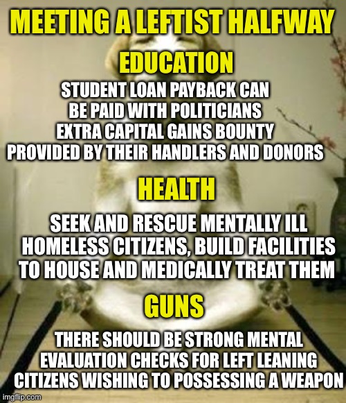 Let’s find common ground | MEETING A LEFTIST HALFWAY; EDUCATION; STUDENT LOAN PAYBACK CAN BE PAID WITH POLITICIANS EXTRA CAPITAL GAINS BOUNTY PROVIDED BY THEIR HANDLERS AND DONORS; HEALTH; SEEK AND RESCUE MENTALLY ILL HOMELESS CITIZENS, BUILD FACILITIES TO HOUSE AND MEDICALLY TREAT THEM; THERE SHOULD BE STRONG MENTAL EVALUATION CHECKS FOR LEFT LEANING CITIZENS WISHING TO POSSESSING A WEAPON; GUNS | image tagged in friday yoga dog | made w/ Imgflip meme maker