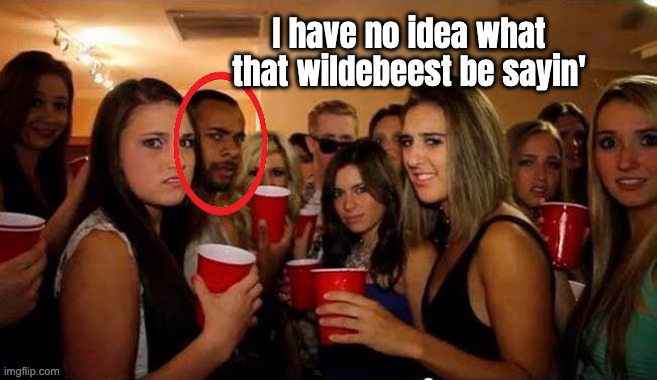 Disgusted girls on party | I have no idea what that wildebeest be sayin' | image tagged in disgusted girls on party | made w/ Imgflip meme maker