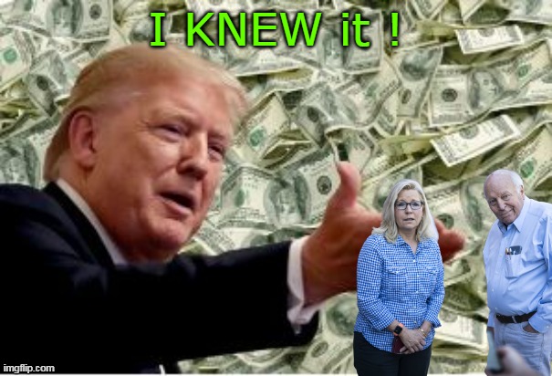 Whatever it cost, it was worth it | I KNEW it ! | image tagged in trump pays cheney to endorse kamala meme | made w/ Imgflip meme maker