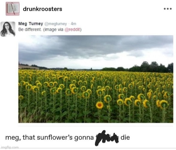 GN chat | made w/ Imgflip meme maker