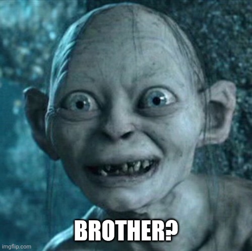 BROTHER? | image tagged in memes,gollum | made w/ Imgflip meme maker