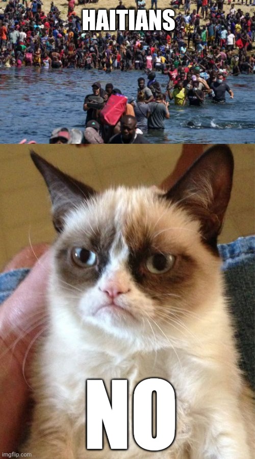 Just NO. lol | HAITIANS; NO | image tagged in grumpy cat,haiti,illegal aliens,cat food,hunting,pets | made w/ Imgflip meme maker