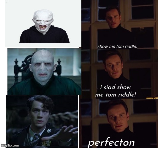 he's perfect | show me tom riddle. i siad show me tom riddle! perfecton | image tagged in perfection,harry potter,voldemort | made w/ Imgflip meme maker