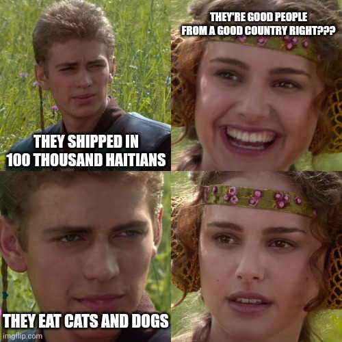 Jedi mind trick?? | THEY'RE GOOD PEOPLE FROM A GOOD COUNTRY RIGHT??? THEY SHIPPED IN 100 THOUSAND HAITIANS; THEY EAT CATS AND DOGS | image tagged in anakin padme 4 panel,dogs,cats,food,starvation,haiti | made w/ Imgflip meme maker