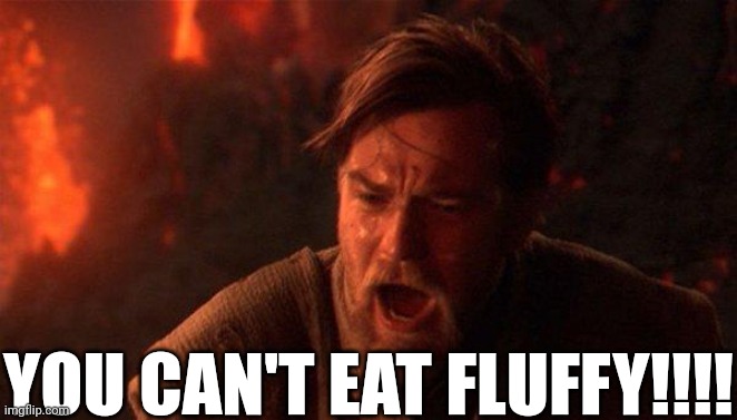 No not Fluffy | YOU CAN'T EAT FLUFFY!!!! | image tagged in memes,you were the chosen one star wars,haiti,animals,food,cats | made w/ Imgflip meme maker