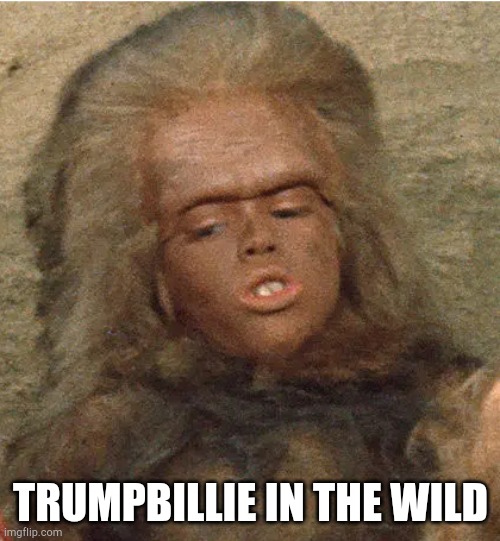 TrumpBillies | TRUMPBILLIE IN THE WILD | image tagged in trumpbillies,sxxx | made w/ Imgflip meme maker