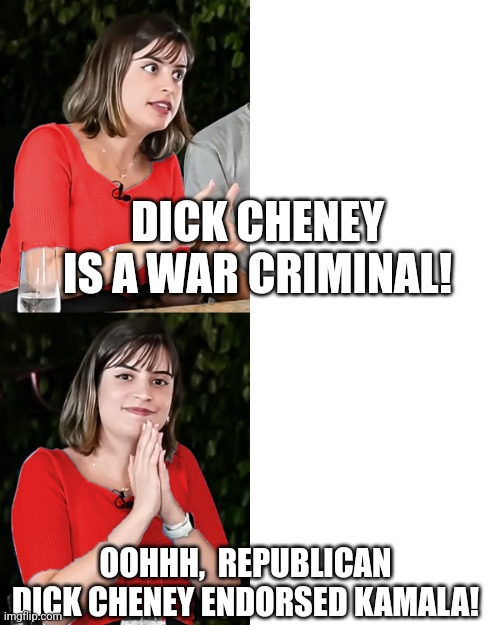 Liberals then and liberals now | DICK CHENEY IS A WAR CRIMINAL! OOHHH,  REPUBLICAN DICK CHENEY ENDORSED KAMALA! | image tagged in liberal trigged | made w/ Imgflip meme maker