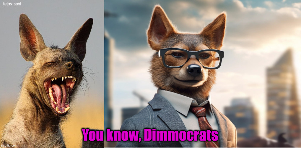 You know, Dimmocrats | image tagged in laughing hyena,jackal | made w/ Imgflip meme maker