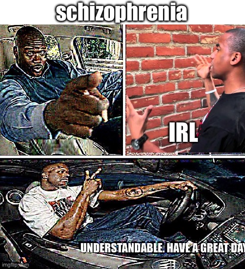 Understandable, have a great day | schizophrenia; IRL | image tagged in understandable have a great day | made w/ Imgflip meme maker