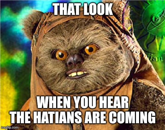 You're next.  Lol | THAT LOOK; WHEN YOU HEAR THE HATIANS ARE COMING | image tagged in angry ewok,haiti,illegal immigrants,hunting season,pets,food | made w/ Imgflip meme maker