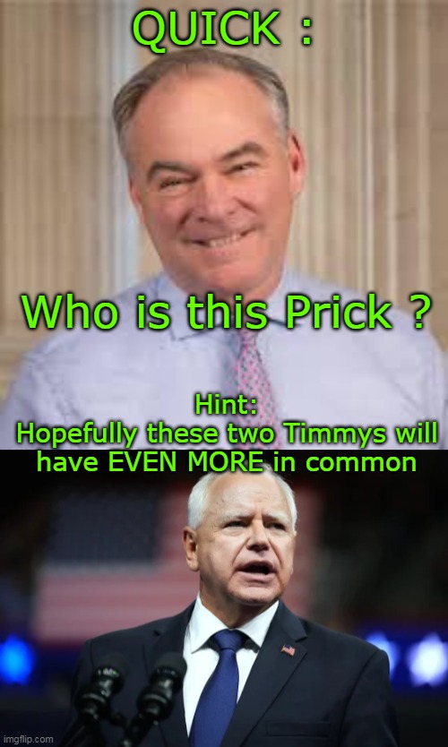 A Tale of two Timmys (i.e.losers) | QUICK :; Who is this Prick ? Hint:
Hopefully these two Timmys will have EVEN MORE in common | image tagged in vp pen pals meme | made w/ Imgflip meme maker