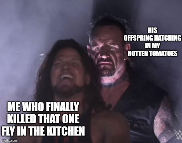 undertaker | HIS OFFSPRING HATCHING IN MY ROTTEN TOMATOES; ME WHO FINALLY KILLED THAT ONE FLY IN THE KITCHEN | image tagged in undertaker | made w/ Imgflip meme maker