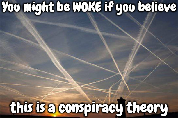 You Might Be WOKE If | You might be WOKE if you believe; this is a conspiracy theory | image tagged in woke,conspiracy theory,walking dead zombie,sheeple,brainwashed,genocide | made w/ Imgflip meme maker