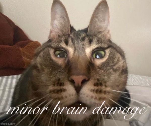 minor brain damage | image tagged in minor brain damage | made w/ Imgflip meme maker