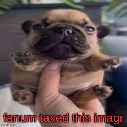 mine now | fanum taxed this imagr | image tagged in dog temp | made w/ Imgflip meme maker