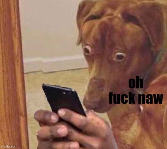 shocked dog | oh fuck naw | image tagged in shocked dog | made w/ Imgflip meme maker