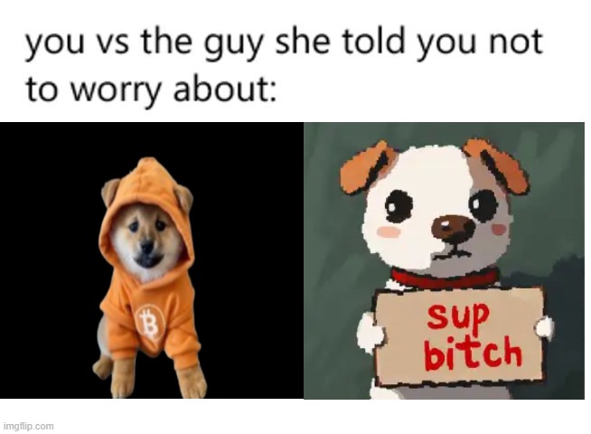 DOG vs Aneemoos | image tagged in you vs the guy she told you not to worry about | made w/ Imgflip meme maker