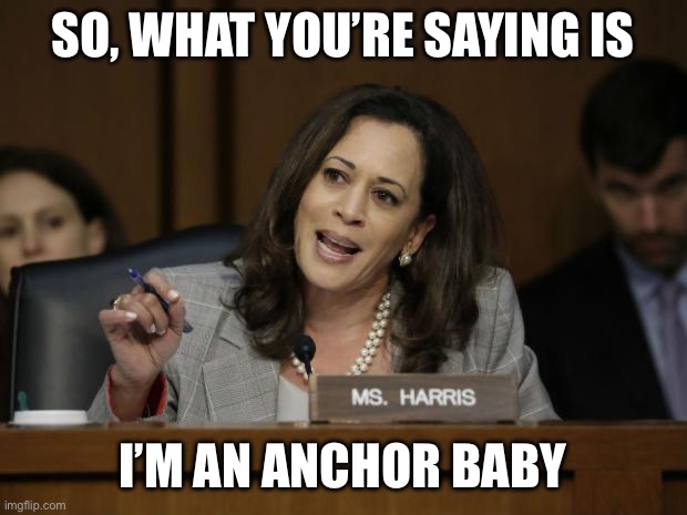 Kamala Harris | SO, WHAT YOU’RE SAYING IS I’M AN ANCHOR BABY | image tagged in kamala harris | made w/ Imgflip meme maker