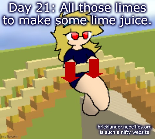 Day 21: All those limes | Day 21: All those limes to make some lime juice. bricklander.neocities.org is such a nifty website | image tagged in nice,stuff | made w/ Imgflip meme maker