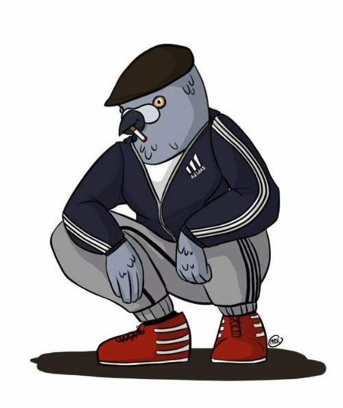 Gopnik Pigeon | image tagged in gopnik pigeon,slavic | made w/ Imgflip meme maker