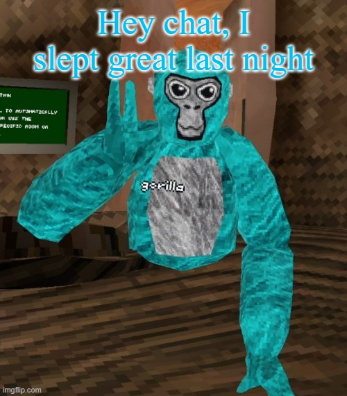 Monkey | Hey chat, I slept great last night | image tagged in monkey | made w/ Imgflip meme maker