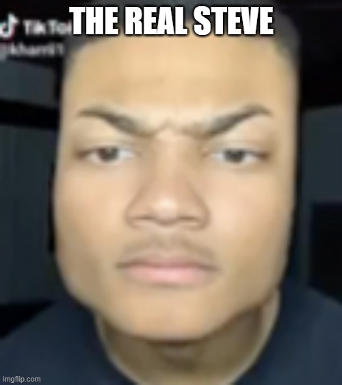 Minecraft head guy | THE REAL STEVE | image tagged in minecraft head guy | made w/ Imgflip meme maker