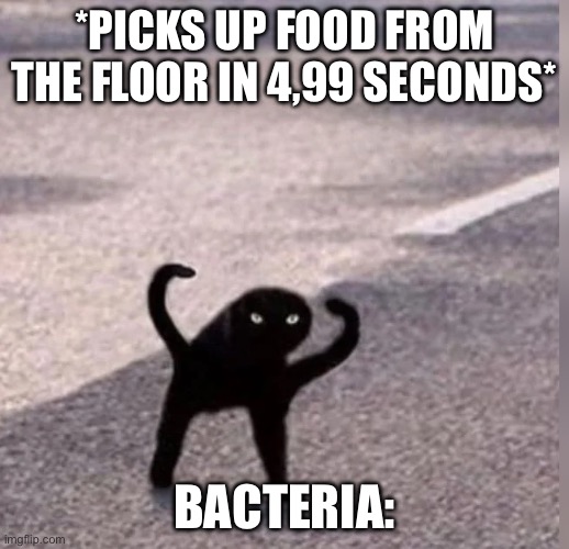 Cursed Cat | *PICKS UP FOOD FROM THE FLOOR IN 4,99 SECONDS*; BACTERIA: | image tagged in cursed cat | made w/ Imgflip meme maker