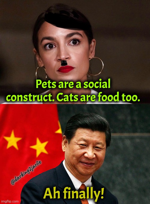 Never go full socialist! | Pets are a social construct. Cats are food too. @darking2jarlie; Ah finally! | image tagged in dictator dem,xi jinping,ohio,pets,migrants,socialism | made w/ Imgflip meme maker