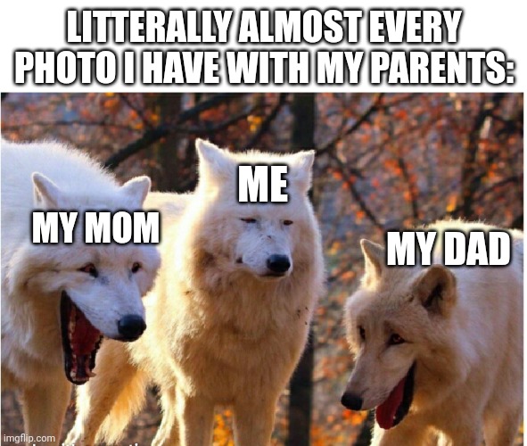 Accurate | LITTERALLY ALMOST EVERY PHOTO I HAVE WITH MY PARENTS:; ME; MY MOM; MY DAD | image tagged in laughing wolves | made w/ Imgflip meme maker