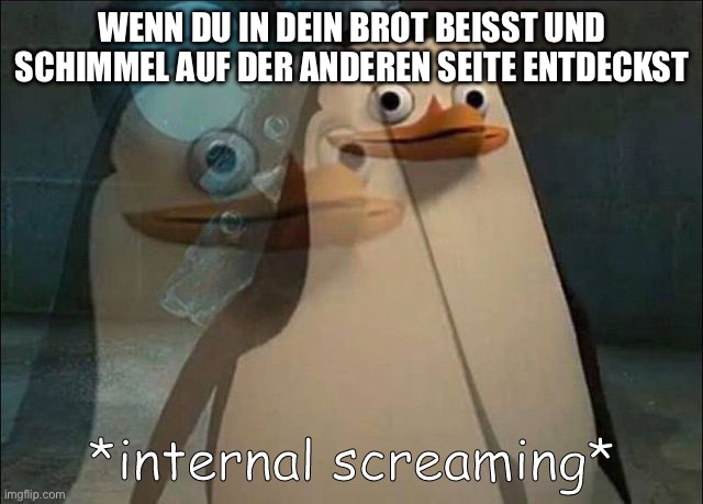 Private Internal Screaming | WENN DU IN DEIN BROT BEISST UND SCHIMMEL AUF DER ANDEREN SEITE ENTDECKST | image tagged in private internal screaming | made w/ Imgflip meme maker