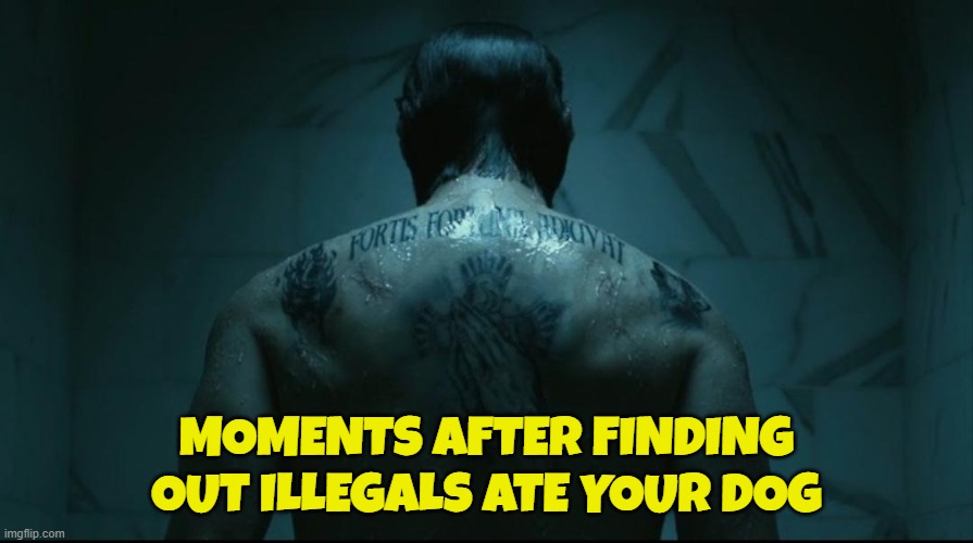 John Wick on they ass | MOMENTS AFTER FINDING OUT ILLEGALS ATE YOUR DOG | image tagged in john wick,triggered john wick,maga,make america great again,illegal immigration,dogs | made w/ Imgflip meme maker