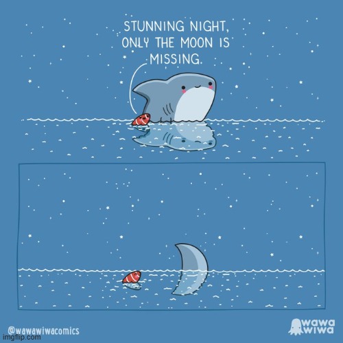 image tagged in shark,fish,night,moon,ocean,reflection | made w/ Imgflip meme maker