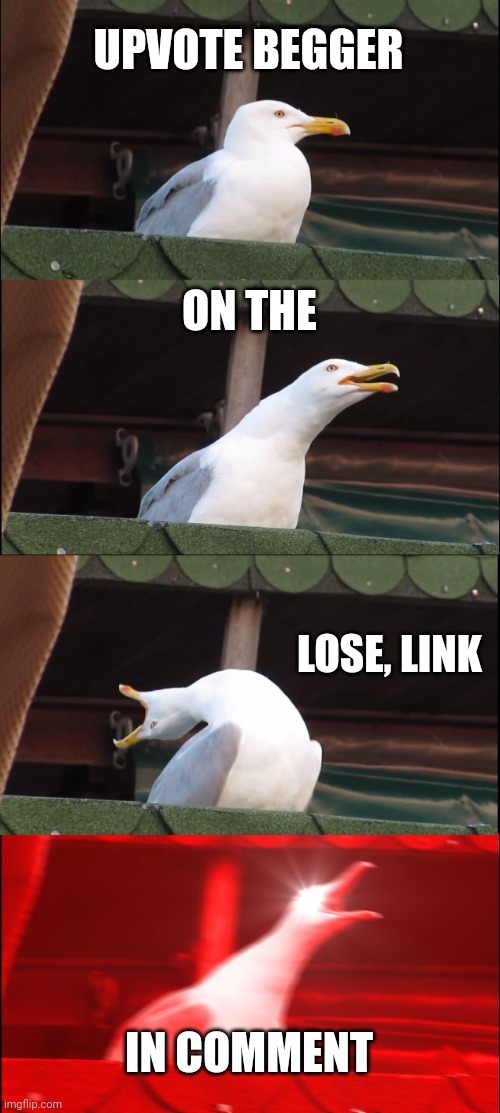 Inhaling Seagull Meme | UPVOTE BEGGER; ON THE; LOSE, LINK; IN COMMENT | image tagged in memes,inhaling seagull | made w/ Imgflip meme maker