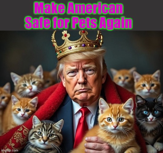 Save the pets | Make American Safe for Pets Again | image tagged in pets,cats | made w/ Imgflip meme maker