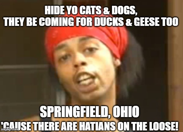 Hide yo dogs & cats Springfield, Ohio! | HIDE YO CATS & DOGS,
THEY BE COMING FOR DUCKS & GEESE TOO; SPRINGFIELD, OHIO; 'CAUSE THERE ARE HATIANS ON THE LOOSE! | image tagged in hide ya kids,ohio,haiti,dogs an cats | made w/ Imgflip meme maker