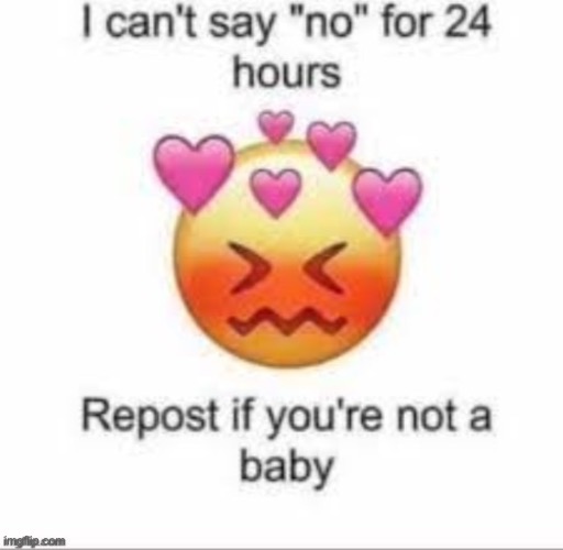 I cant say no for 24 hours | image tagged in i cant say no for 24 hours | made w/ Imgflip meme maker