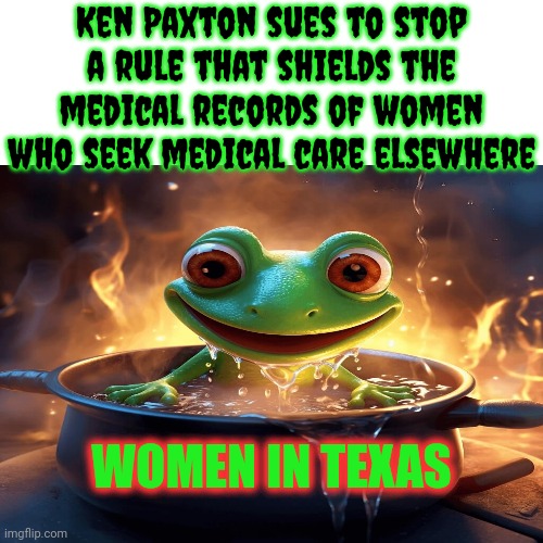 The Women In Texas Need To Get Pissed Off That The Men In Texas Are Such Mucho Grande Puntas | Ken Paxton sues to stop a rule that shields the medical records of women who seek medical care elsewhere; WOMEN IN TEXAS | image tagged in southern women,white supremacist men,texas,ken paxton is a azzhole,wake up,memes | made w/ Imgflip meme maker