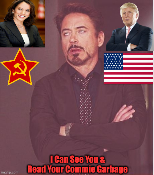 It Is A Simple Choice | I Can See You & Read Your Commie Garbage | image tagged in memes,face you make robert downey jr,political meme,politics,funny memes,funny | made w/ Imgflip meme maker