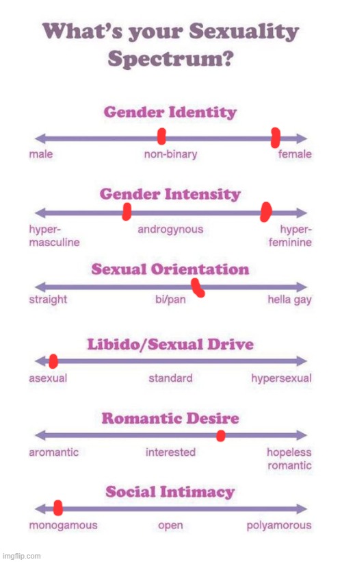 my gender varies a lot, and my level of masculinity/femininity too. my sexuality is pretty fixed. | image tagged in what's your sexuality spectrum | made w/ Imgflip meme maker