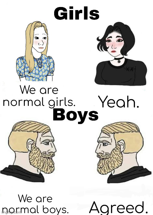 Some girls vs boys memes are stereotypical in my opinion | We are normal girls. Yeah. Agreed. We are normal boys. | image tagged in girls vs boys,stereotypes | made w/ Imgflip meme maker