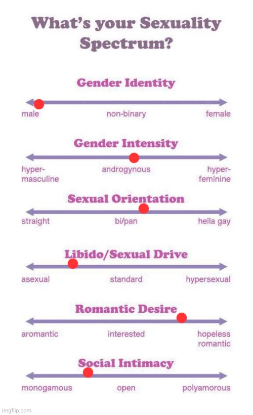 What's your sexuality spectrum? | image tagged in what's your sexuality spectrum | made w/ Imgflip meme maker