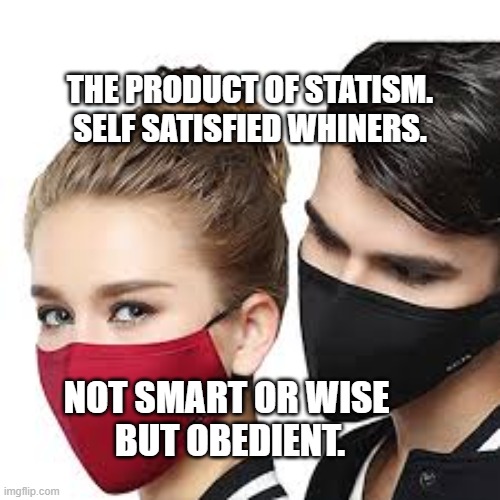 Mask Couple | THE PRODUCT OF STATISM.  SELF SATISFIED WHINERS. NOT SMART OR WISE     BUT OBEDIENT. | image tagged in mask couple | made w/ Imgflip meme maker