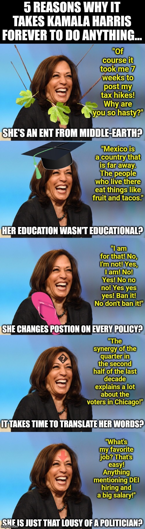 Everyone knows it take Kamala Harris forever to do any task. Here are 5 guesses why! | image tagged in kamala harris,democrat party,slow motion,mainstream media,liberal logic,failure | made w/ Imgflip meme maker