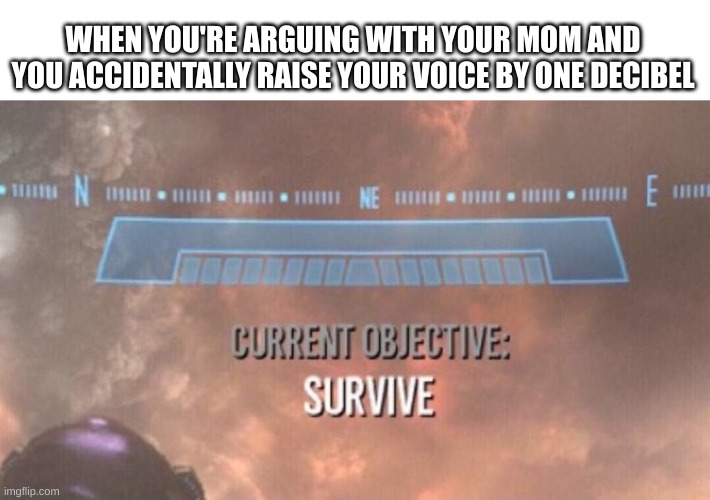 survive | WHEN YOU'RE ARGUING WITH YOUR MOM AND YOU ACCIDENTALLY RAISE YOUR VOICE BY ONE DECIBEL | image tagged in current objective survive | made w/ Imgflip meme maker