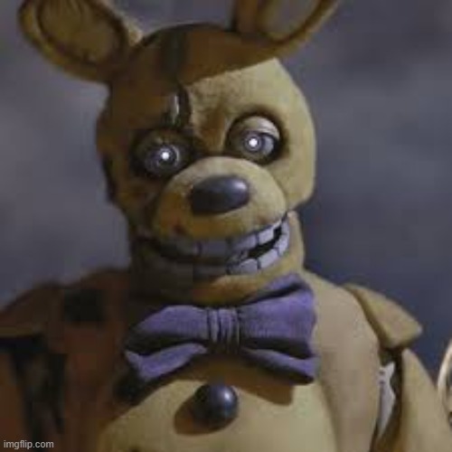 Springbonnie | image tagged in springbonnie | made w/ Imgflip meme maker