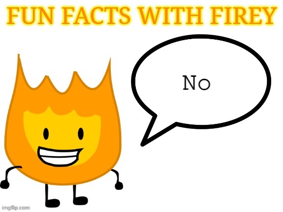 fun facts with firey | No | image tagged in fun facts with firey | made w/ Imgflip meme maker