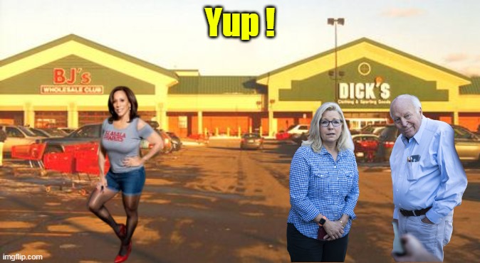 Serendipity Shopping | Yup ! | image tagged in kamala bj cheney dicks meme | made w/ Imgflip meme maker