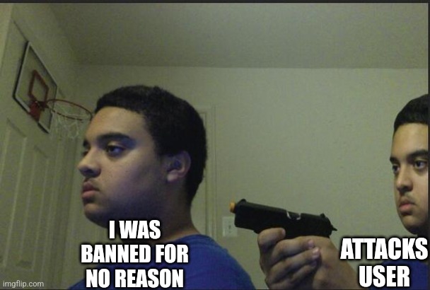 Trust Nobody, Not Even Yourself | I WAS BANNED FOR NO REASON ATTACKS USER | image tagged in trust nobody not even yourself | made w/ Imgflip meme maker
