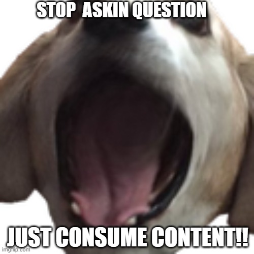 Consume content | STOP  ASKIN QUESTION; JUST CONSUME CONTENT!! | image tagged in dog memes | made w/ Imgflip meme maker